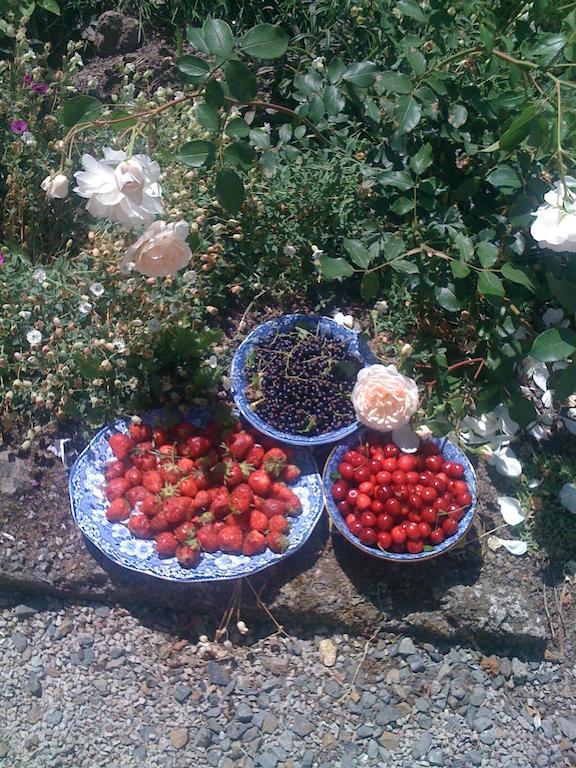 Frühstückspension Les Trauchandieres De Malo Saint-Jouan-des-Guérets